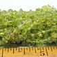 Peridot stone chips